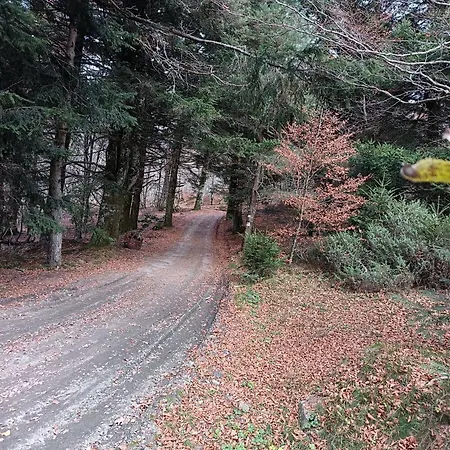 D'hote Confort Nature Ballades Et Rando Отель типа 